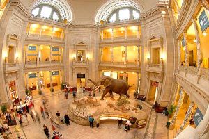 How to plan a trip to The-Smithsonian-museums